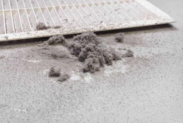 Best HVAC System Cleaning  in Roseland, FL