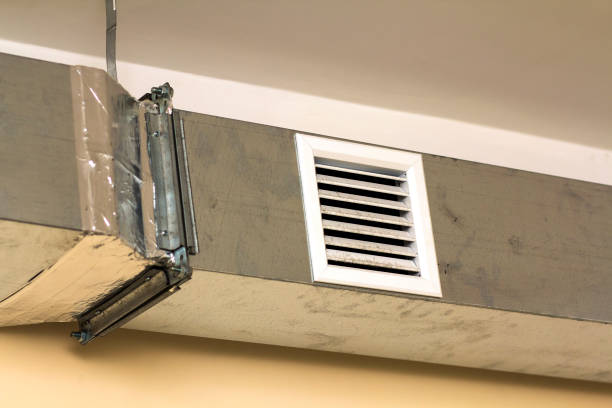 Best Dryer Vent Cleaning Services  in Roseland, FL